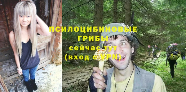 тгк Баксан