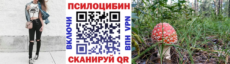 Купить  Артём  Псилоцибиновые грибы ЛСД 